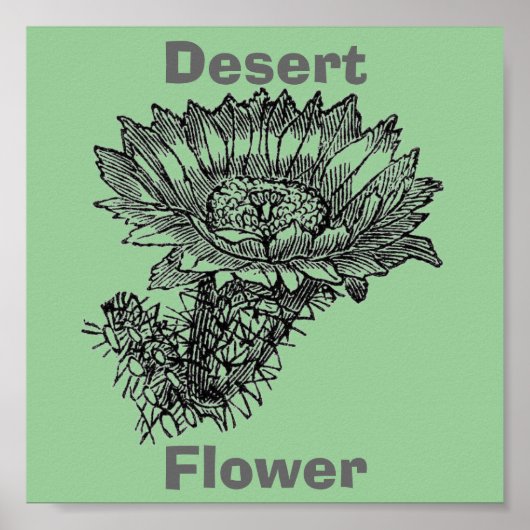 Poster de Cactus (Devant)