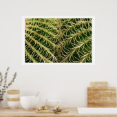 Poster de Cactus (Cuisine)