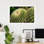 Poster de Cactus (Bureau à domicile)