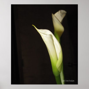 Poster de Cala Lily Duo