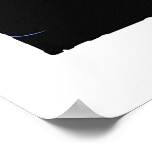 Poster de calmar géant (Coin)