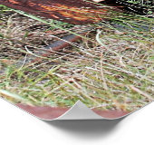 Poster de camion abandonné (Coin)