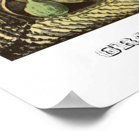 Poster de campagne McClellan et Pendleton (Coin)