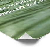 Poster de canard (Coin)