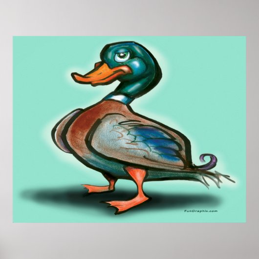 Poster de canard (Devant)
