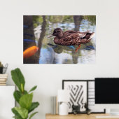 Poster de canard et d'étang de poisson (Bureau à domicile)