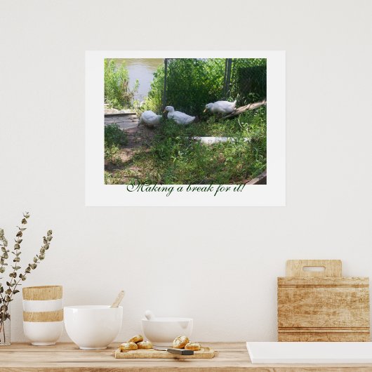 Poster de canards blancs sur une rampe (Cuisine)