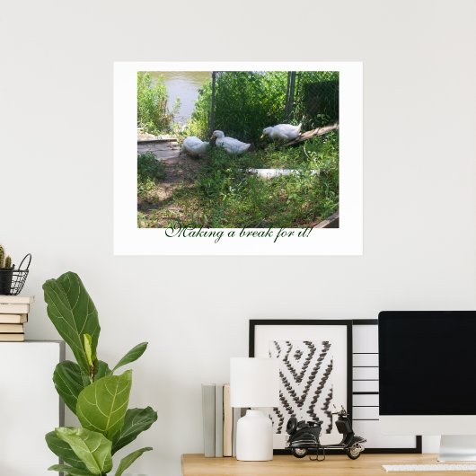 Poster de canards blancs sur une rampe (Bureau à domicile)