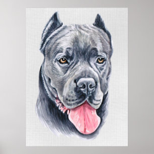 Poster de Cane Corso