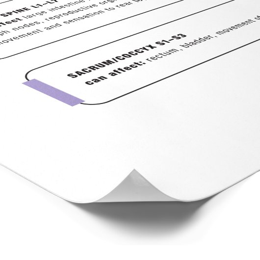 Poster de Canine (Coin)