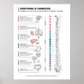 Poster de Canine (Devant)