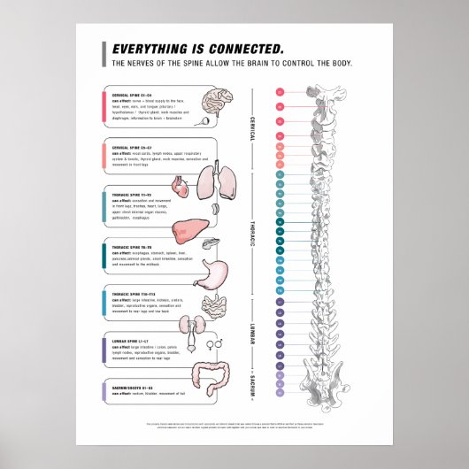 Poster de Canine (Devant)