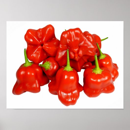 Poster de Capsicum Chinense Chili (Devant)