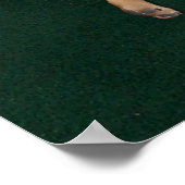 Poster de Carlin et chat mignon (Coin)