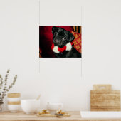Poster de Carlin noir doux (Cuisine)