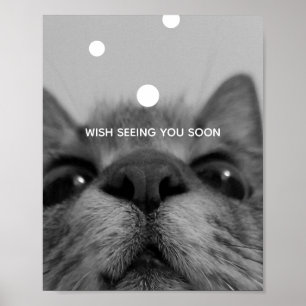 Poster de carte postale Black&White Cat Face