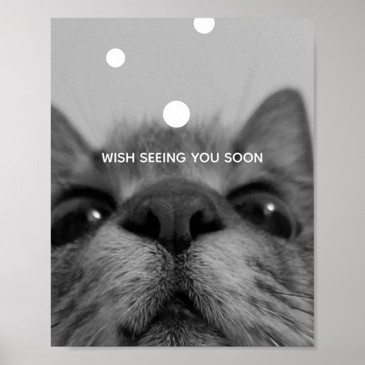 Poster de carte postale Black&White Cat Face (Devant)