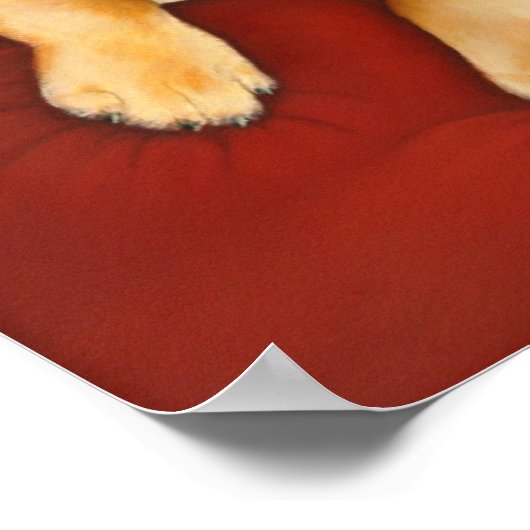 Poster de Cassy (Coin)