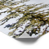 Poster de Castle Mountain (Coin)