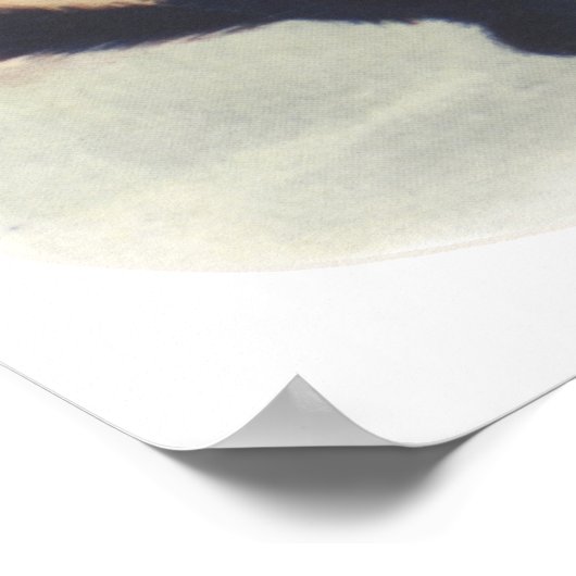 Poster de Cat Duo (Coin)