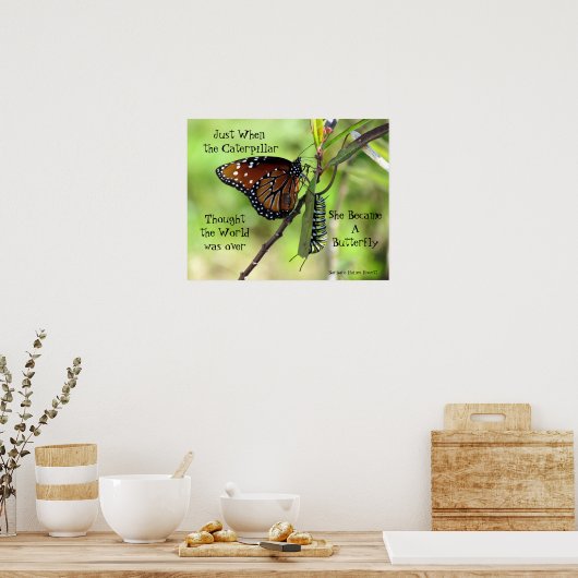 Poster de caterpillar / Caterpillar (Cuisine)