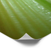 Poster de céleri et carottes (Coin)