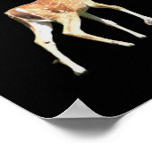 Poster de cerfs (Coin)