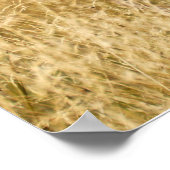 Poster de cerfs (Coin)