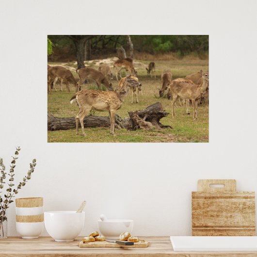 Poster de cerfs aveugles (Cuisine)