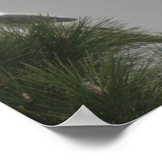 Poster de cerfs-volants (Coin)