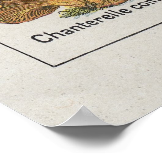 Poster de champignons (Coin)