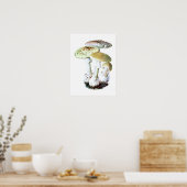 Poster de champignons (Cuisine)