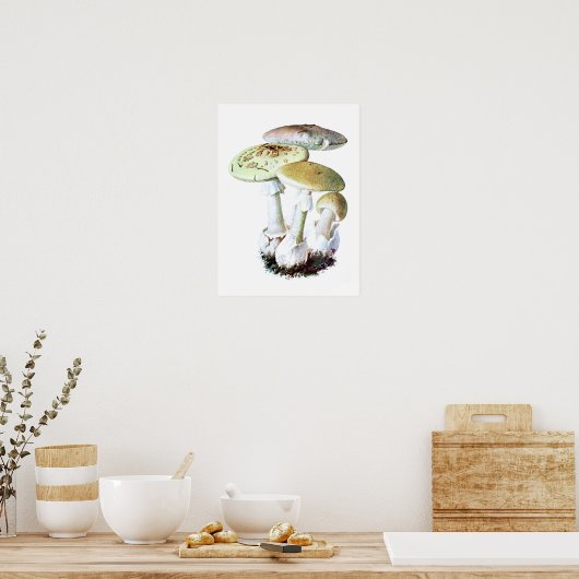 Poster de champignons (Cuisine)