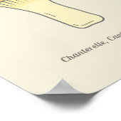 Poster de champignons de la Chanterelle botanique (Coin)