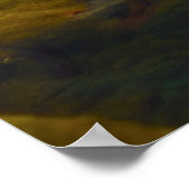 Poster de champignons mellow (Coin)