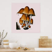 Poster De Champignons série quatrième de huit (Cuisine)