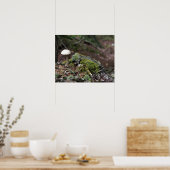 Poster de champignons solitaires (Cuisine)