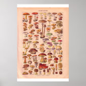 Poster de champignons vintages 1920 (Devant)