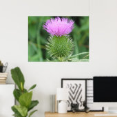 Poster de chardon pourpre (Bureau à domicile)