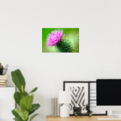 Poster de chardon pourpre (Bureau à domicile)