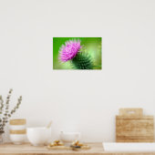 Poster de chardon pourpre (Cuisine)