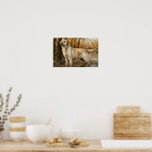 Poster de chasse du Labrador jaune, chasseurs de c (Cuisine)