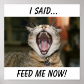 Poster de chat (Devant)