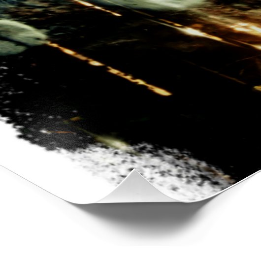 Poster de chat (Coin)