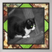 Poster de chat Barnyard (Devant)