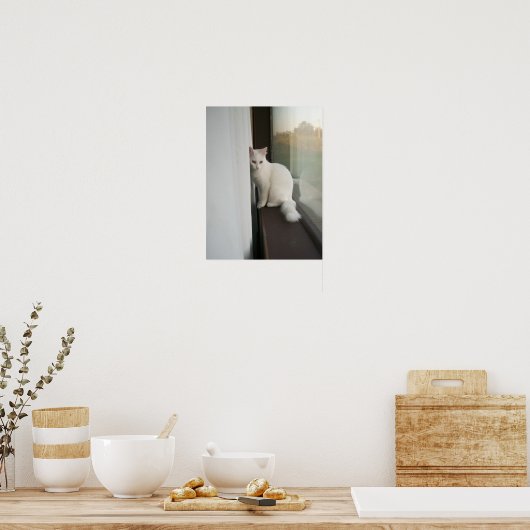 Poster de chat blanc (Cuisine)