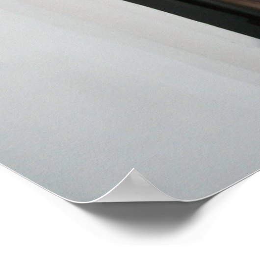 Poster de chat blanc (Coin)