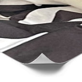 Poster de chat couché (Coin)