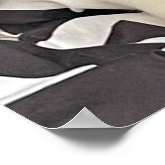 Poster de chat couché (Coin)