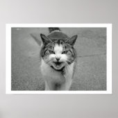 Poster de chat Crabby (Devant)